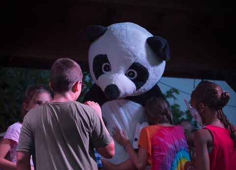 Camping l'Etoile d'Or 4* - 44