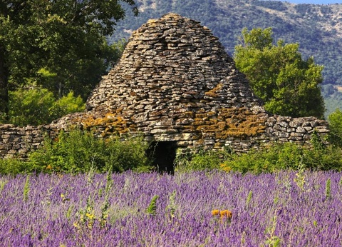 Camping Domaine des Chênes Blancs Pausado, 3* - 23