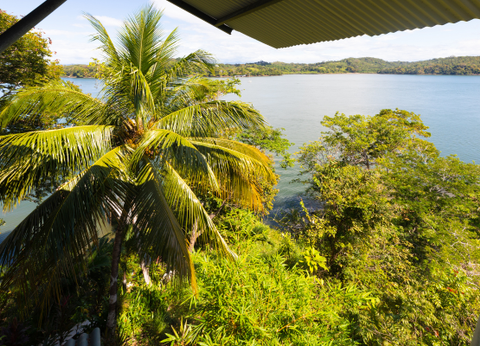 Circuit Panama, Couleur Café - 35