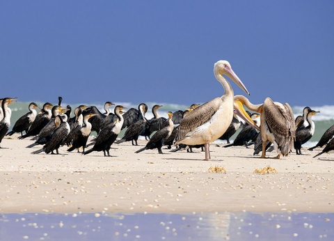 Circuit Regard sur le Sénégal authentique - 7