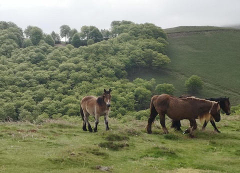 Camping Landes Azur, 4* - 48