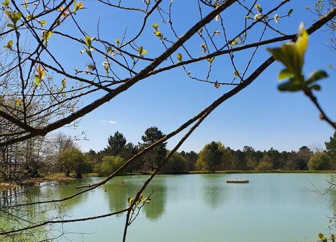 Camping Le Chêne du Lac, 3* - 22