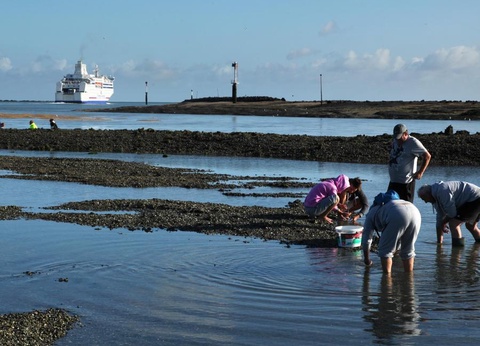 Camping Mirabel Les Prairies de la Mer, 4* - 20