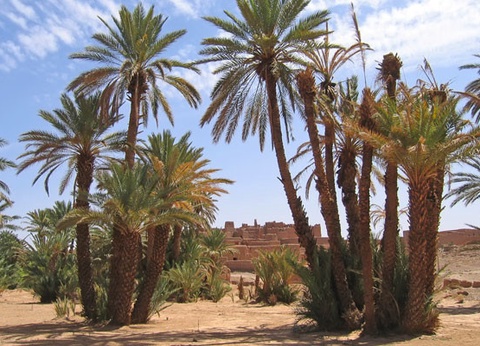 Circuit Voyage en liberté, Marrakech, oasis et désert de Zagora - 10