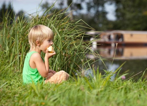 Village Toue du Domaine des Demoiselles - 19