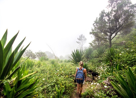 Circuit Trésors du Cap Vert 4* - 15