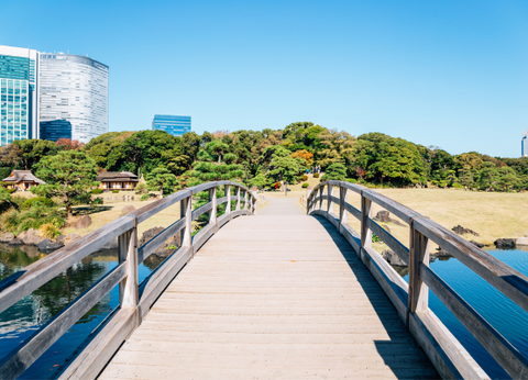 Circuit Mangas et Capitales, le Japon en Famille et en Liberté - 6