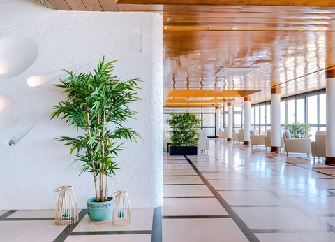 Hôtel Sol e Mar 4* ( Adults Only +16) - 8