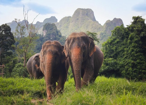 Circuit Privatif Aventure dans le sud de la Thailande - 22