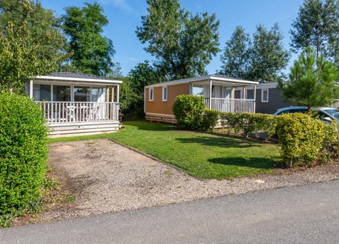 Flower Camping Vitamin, 4* - 51