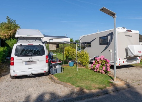 Flower Camping Vitamin, 4* - 46