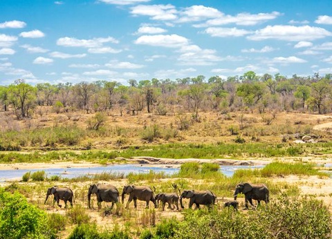 Splendeurs du Parc Kruger & Extension Chutes Victoria 13J/10N - 2026 - 15