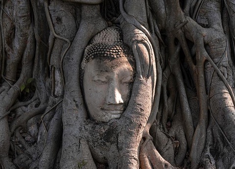 Trésors authentiques du Siam 4* & séjour Ôclub Select Barcelo Coconut Island 5* - 8