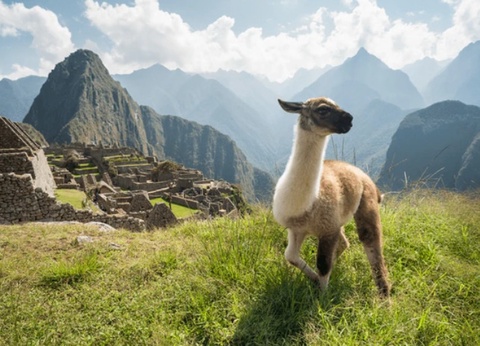 Circuit Privatif Heritage Péruvien + extension Amazonie - 30