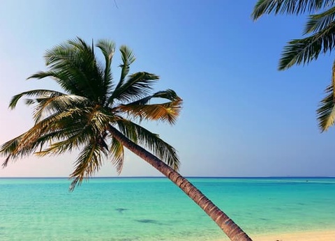 Hôtel The Barefoot Eco Hotel Maldives 4* - 16