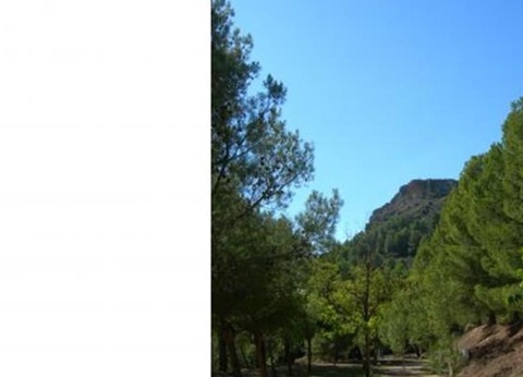 Camping Lago Resort - 44