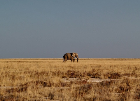 Autotour Sur les routes de Namibie **** - 14