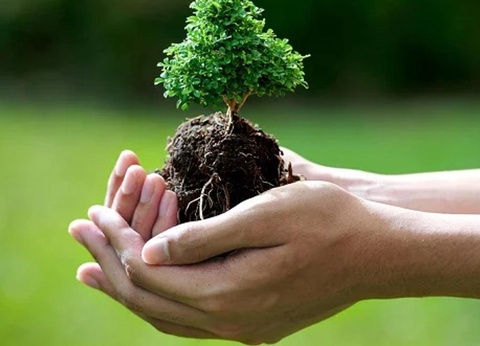 Talaia Plaza Ecoresort - 63