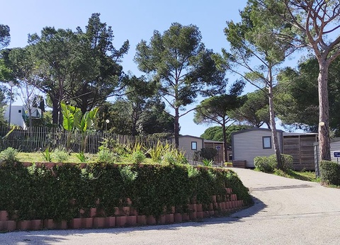 Camping Parc de Bormes 3* - 10