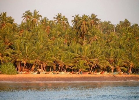 Circuit privé Ceylan buissonnier - 28