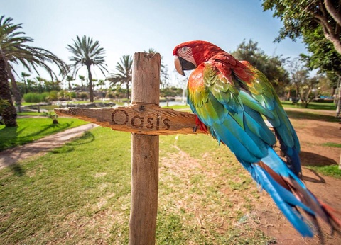 Domaine Villate Limoune By Ôvoyages 4* - 12