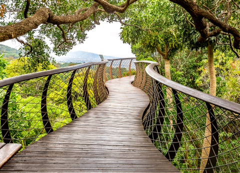 Circuit Aventures Australes, de l'Afrique du Sud au Botswana - 5