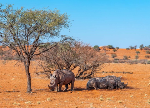 Circuit Découverte de la Namibie et Chutes Victoria - 5