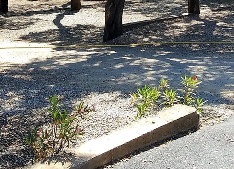 Camping Domaine des Mimosas, 2* - 21