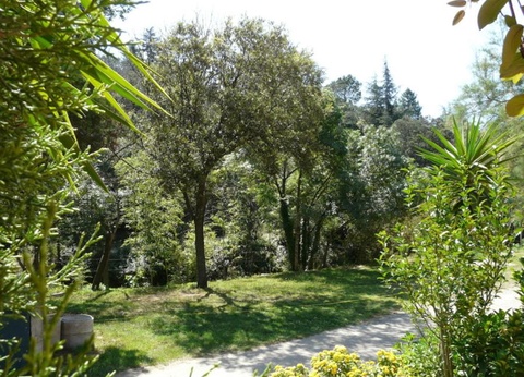 Camping Domaine des Mimosas, 2* - 9