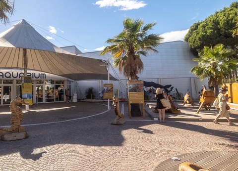 Camping La Marine, 4* - 61