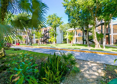 Club Jumbo Riu Lupita ***** - 17