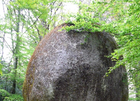 Camping La Riviere D'Argent, 3* - 51