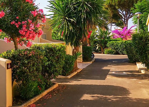 Résidence San Pellegrino 3* - 11