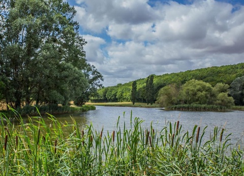 Camping Ushuaïa Villages Au Bois Joli, 4* - 18