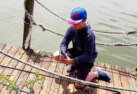 Camping Le Lac aux oiseaux - 8