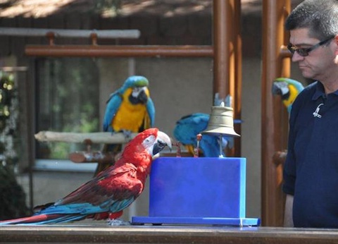 Flower Camping L'Abri-Côtier, 3* - 255