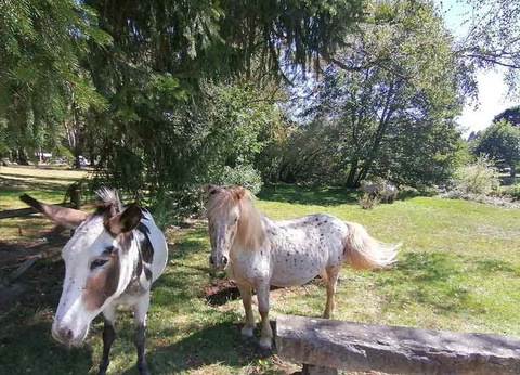 Camping Aux Portes Des Mille Sources, 3* - 19