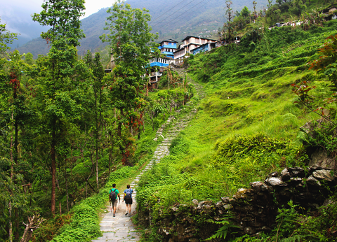 Circuit Trek dans l'Himalaya et réserve de Bardia - 19