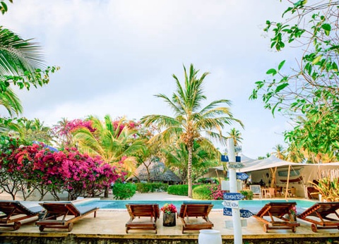 Hôtel Indigo Beach Zanzibar 4* - 4