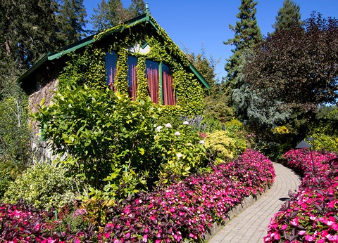 Canada de l'Ouest, les Rocheuses - 5