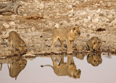Circuit Visage de Namibie - 17