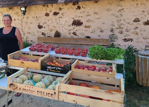 Camping Domaine Du Bois Coquet, 3* - 14