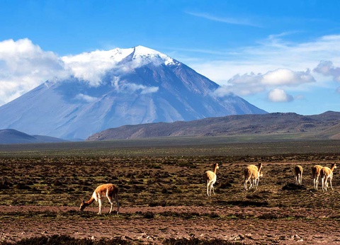 Circuit Pérou andin - 2