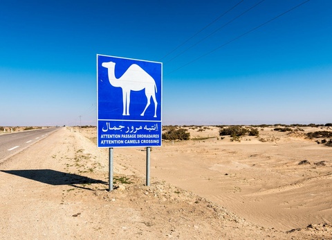 Circuit Mer & Oasis - 8J/7N - 6