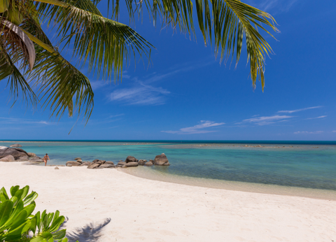 Séjour Centara Villas Samui 4* - 9