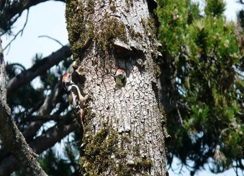 Camping Château de Lacomté, 4* - 29