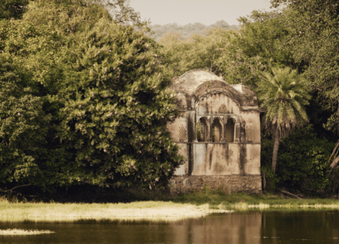 Circuit Sur la route du Taj Mahal au Tigres de Ranthambore - 22