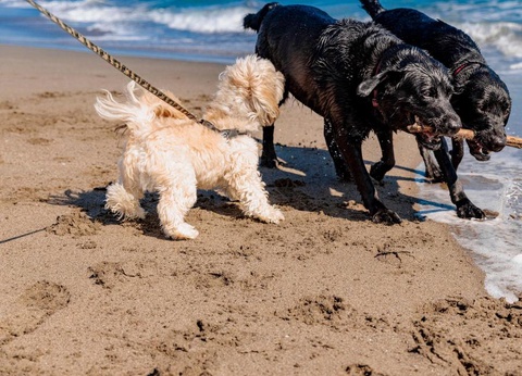 Gitavillage Club degli Amici - 18