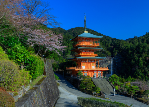 Circuit Au Coeur du Japon, Authentique et Insolite - 13
