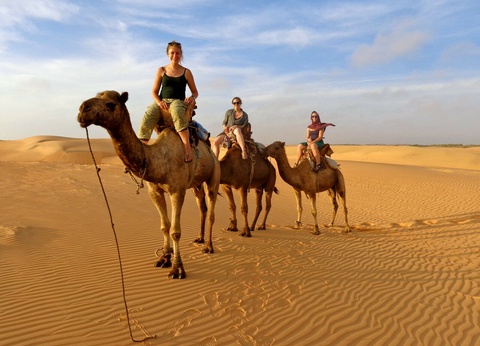 Circuit Le parfum du Saloum - 10